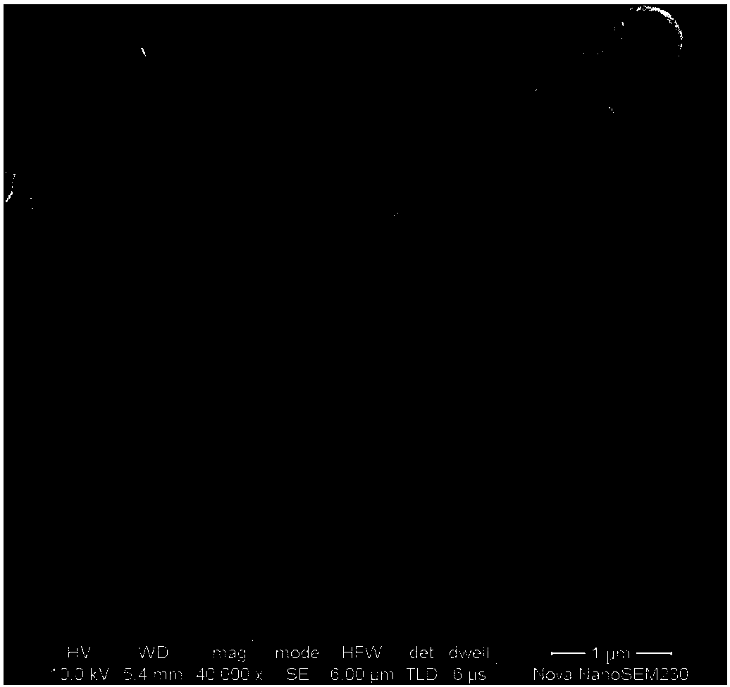 A kind of preparation method of tungsten disulfide/carbon nanotube negative electrode composite material for sodium ion battery