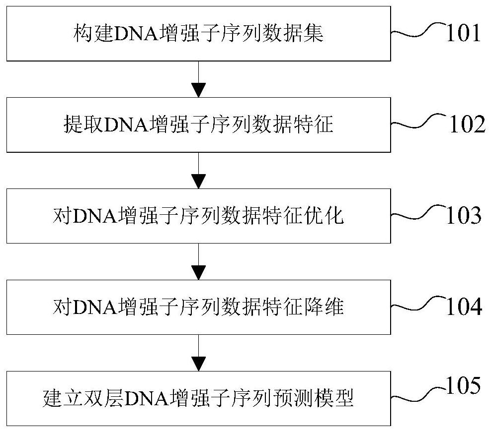 Method for identifying DNA enhancer element based on sequence frequency information