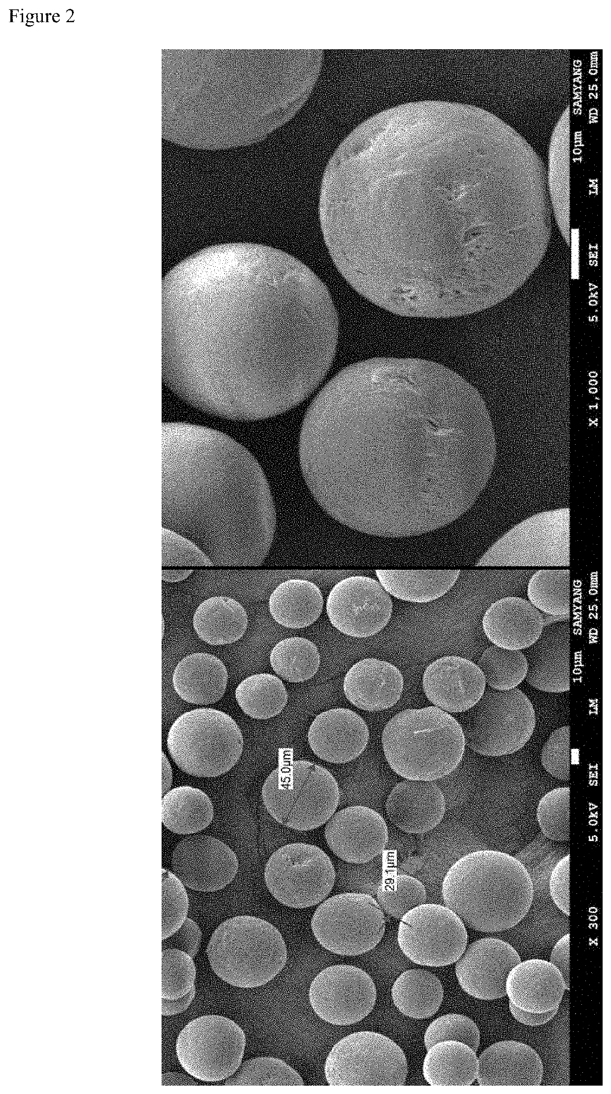 Porous microparticles of biodegradable polymer, and polymer filler comprising same