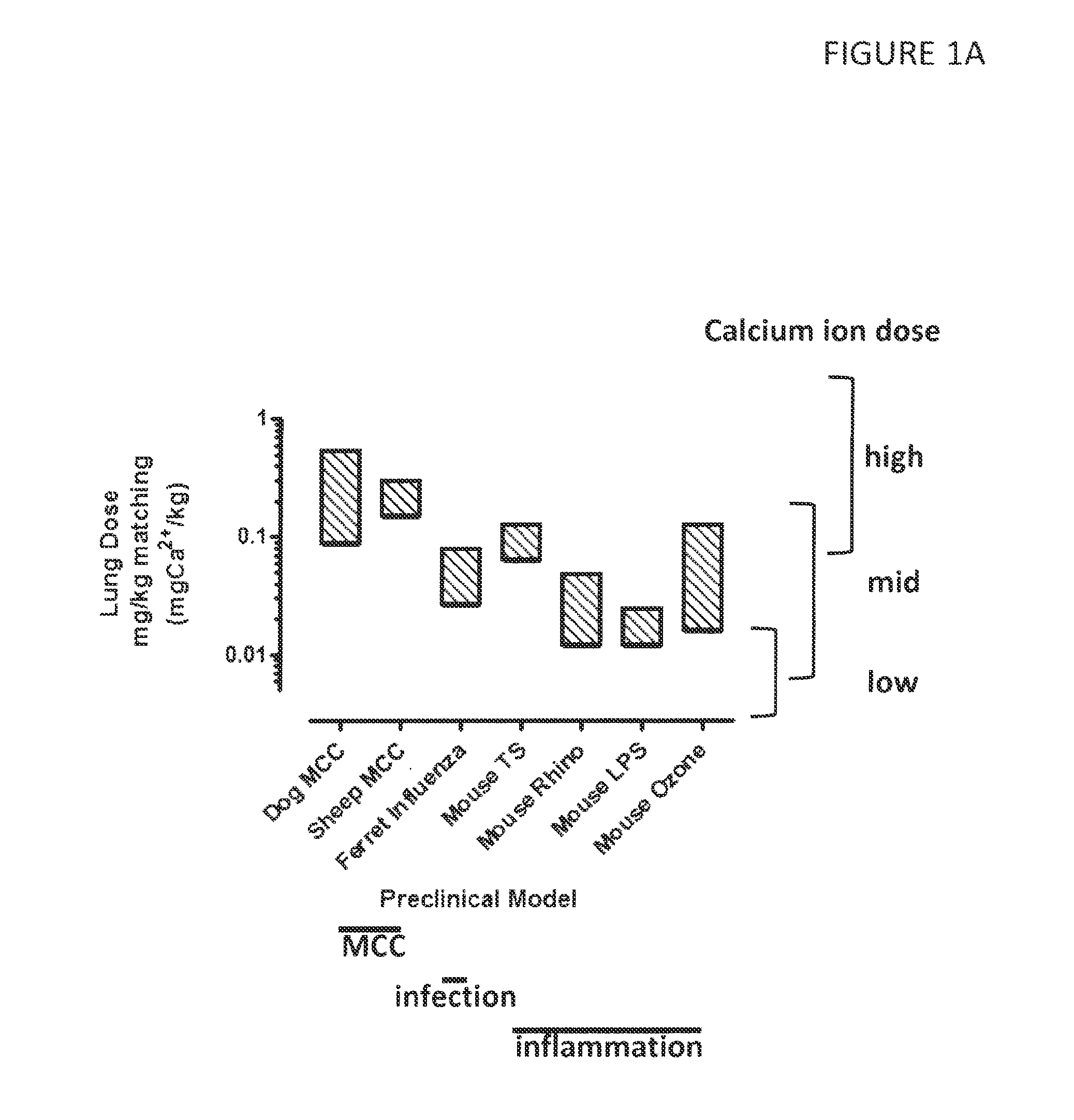 Methods for treating and diagnosing respiratory tract infections