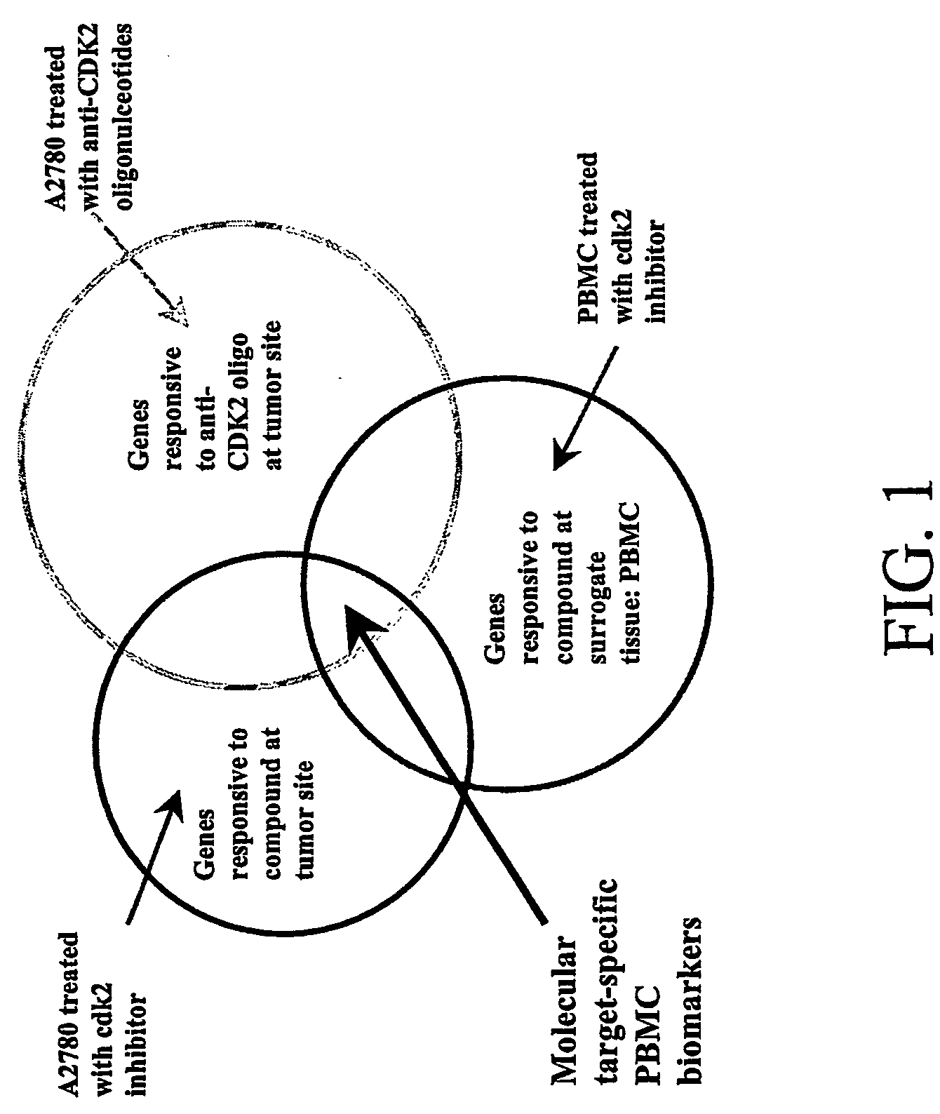 Biomarkers of cyclin-dependent kinase modulation