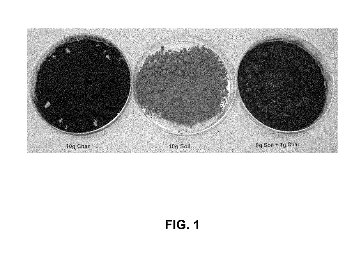 Ozonized biochar: phosphorus sustainability and sand soilization