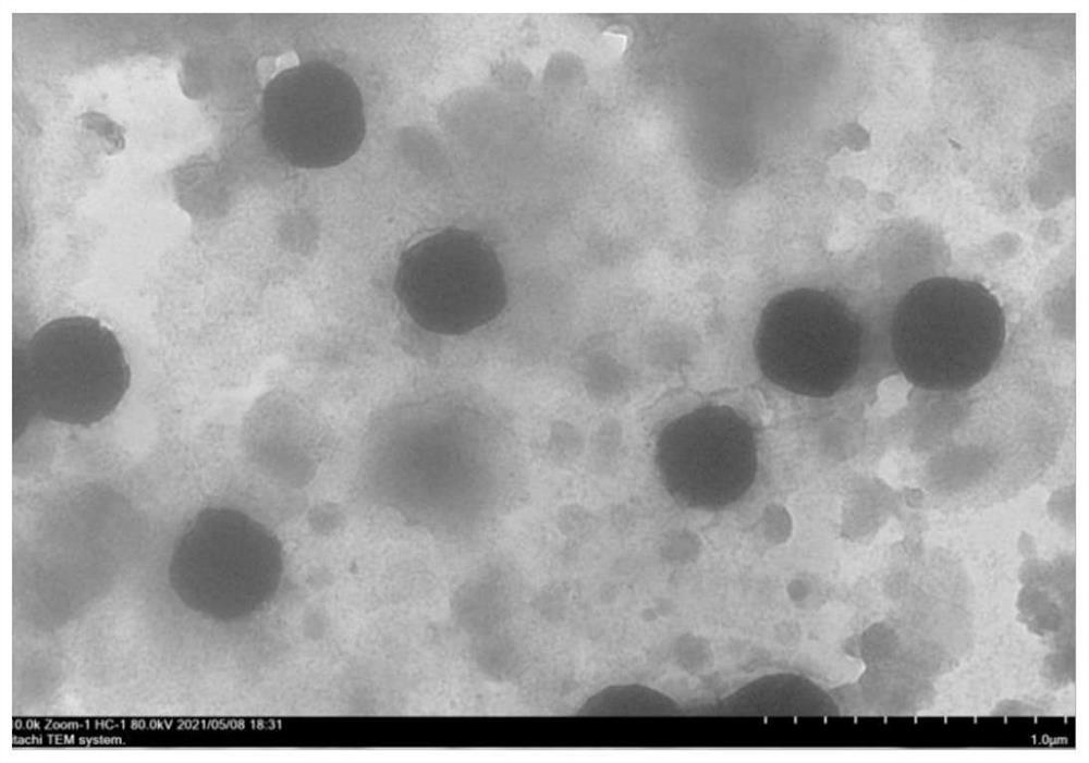 Nattokinase external transdermal absorbent and preparation method thereof