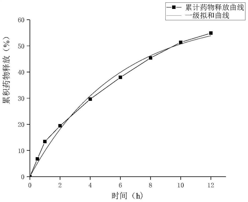 Nattokinase external transdermal absorbent and preparation method thereof