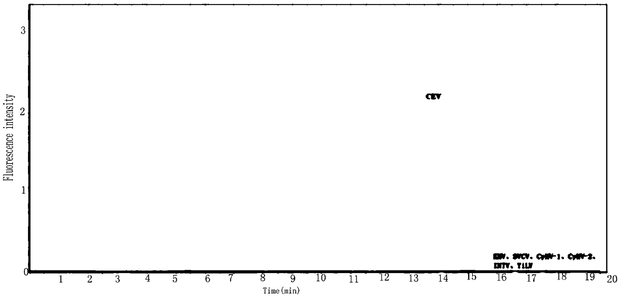 Primer for rapidly detecting carp edema virus and method thereof