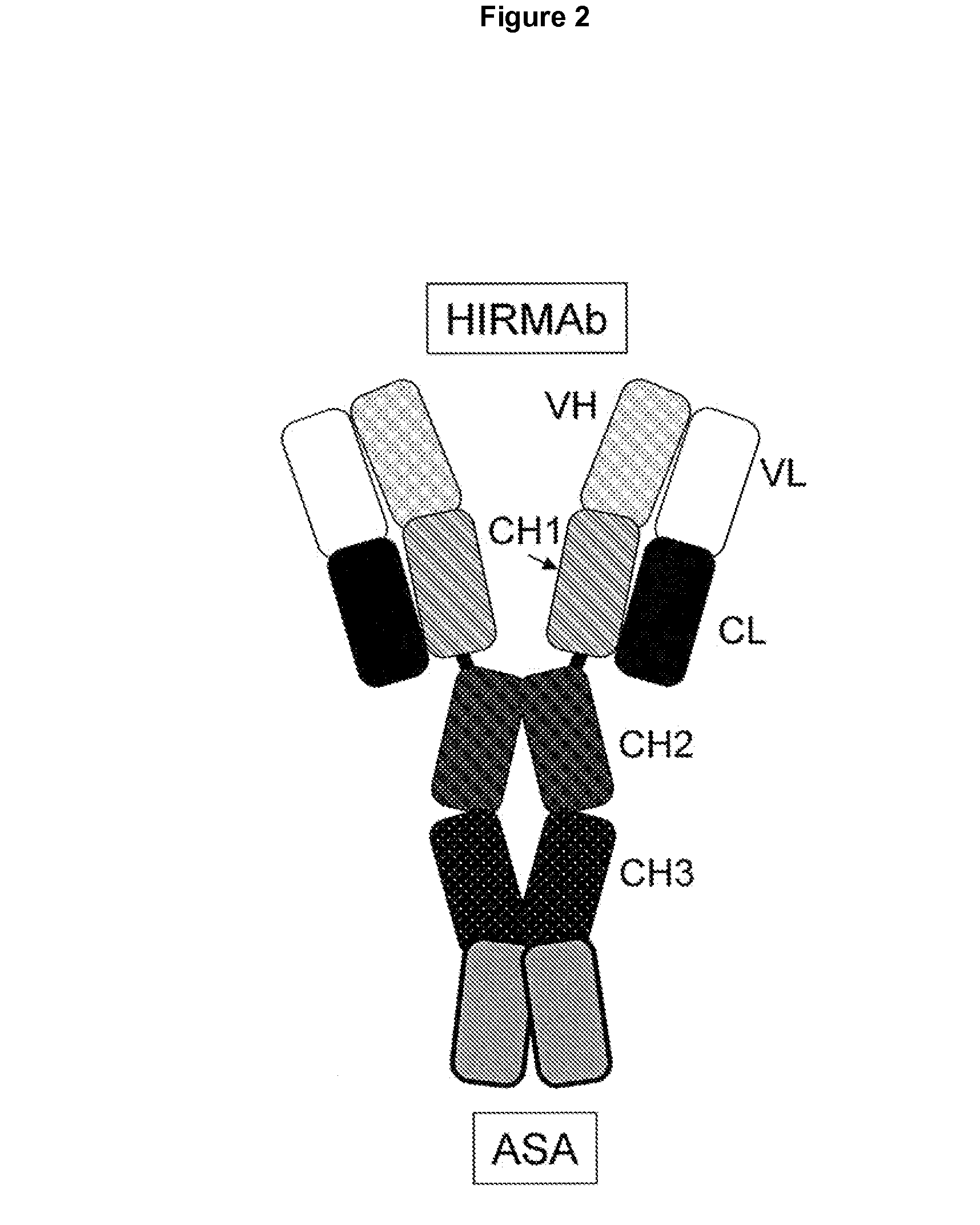 Methods and Compositions for Increasing Arylsulfatase A Activity in the CNS