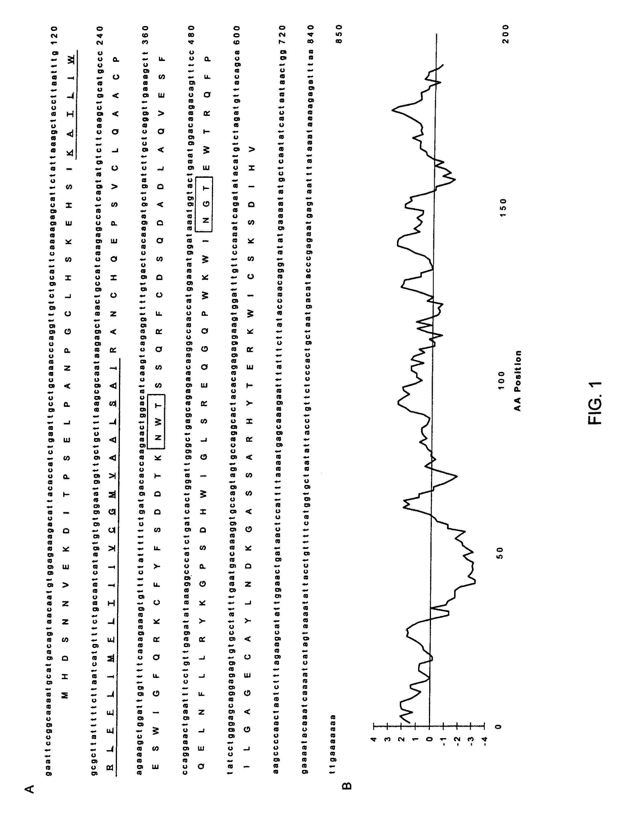 Methods for increasing production of IFN-gamma in natural killer cells expressing LLT1 receptor