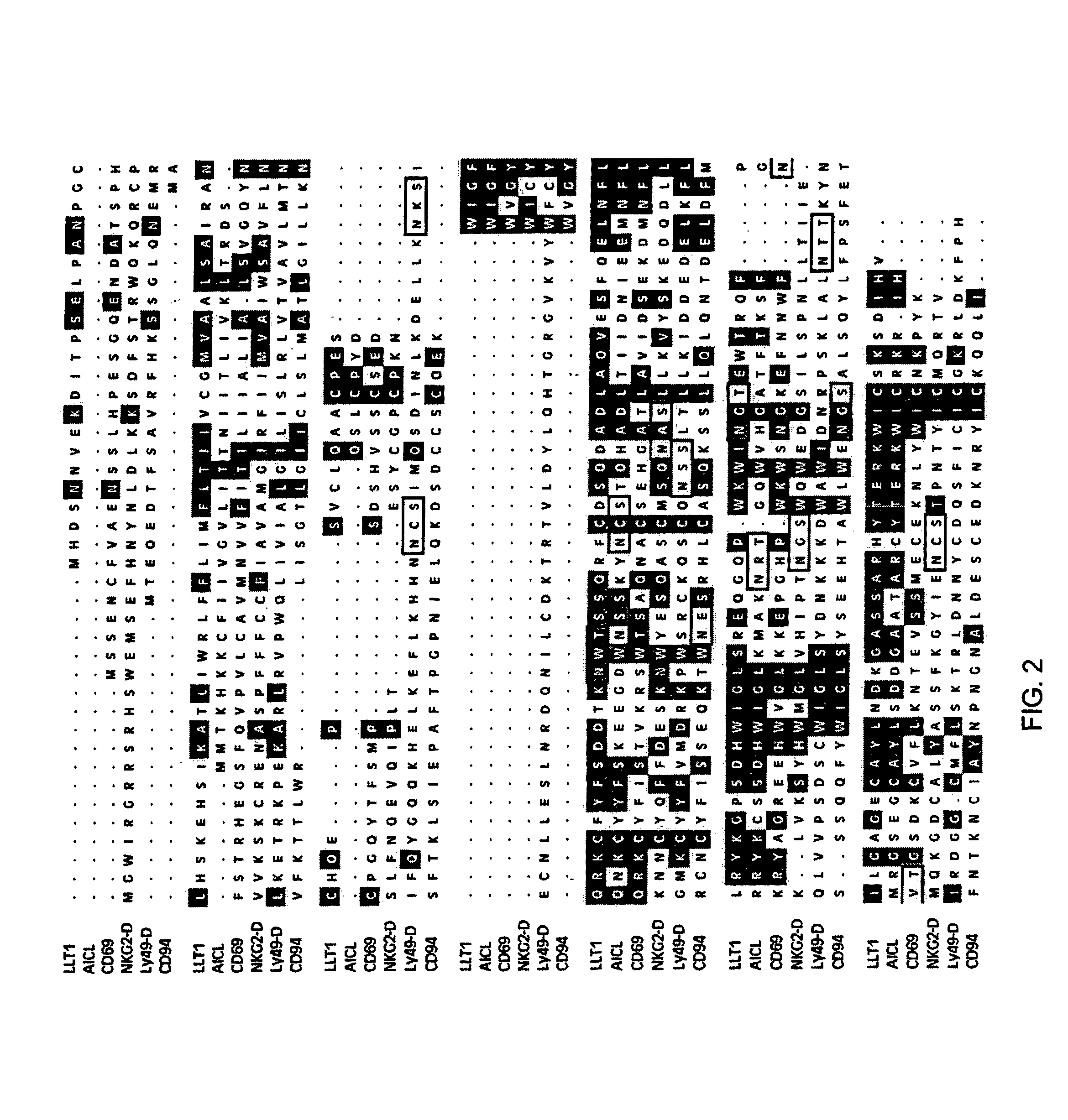 Methods for increasing production of IFN-gamma in natural killer cells expressing LLT1 receptor