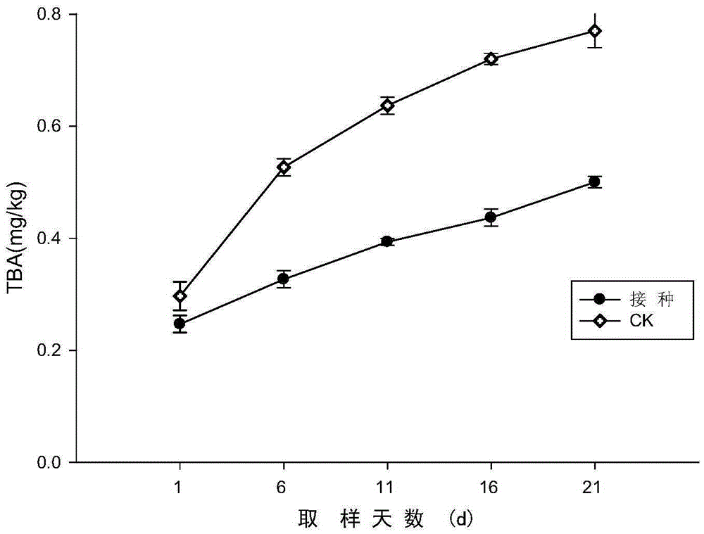 Compound leavening agent and application thereof in Chinese pork fermented sausage