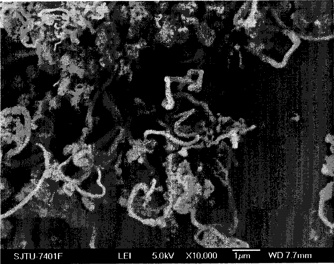 Method for preparing silicon composite cathode material of lithium ion battery