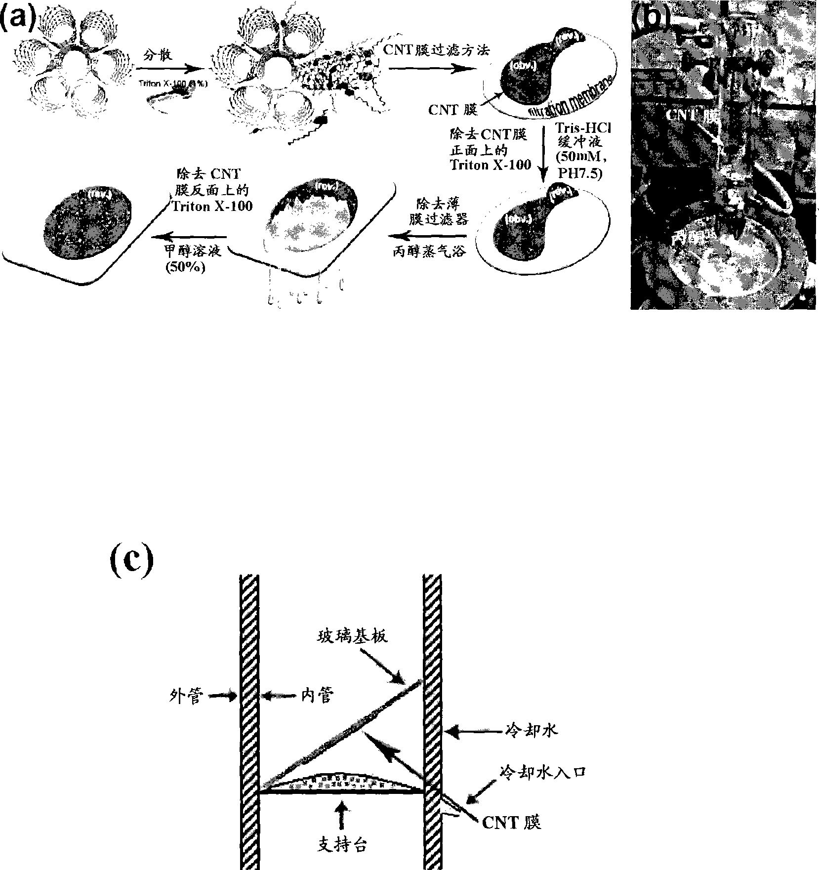 Method for producing carbon nano-tube film, carbon nano-tube film with laminated structure, anode, organic LED and carbon nano-tube element