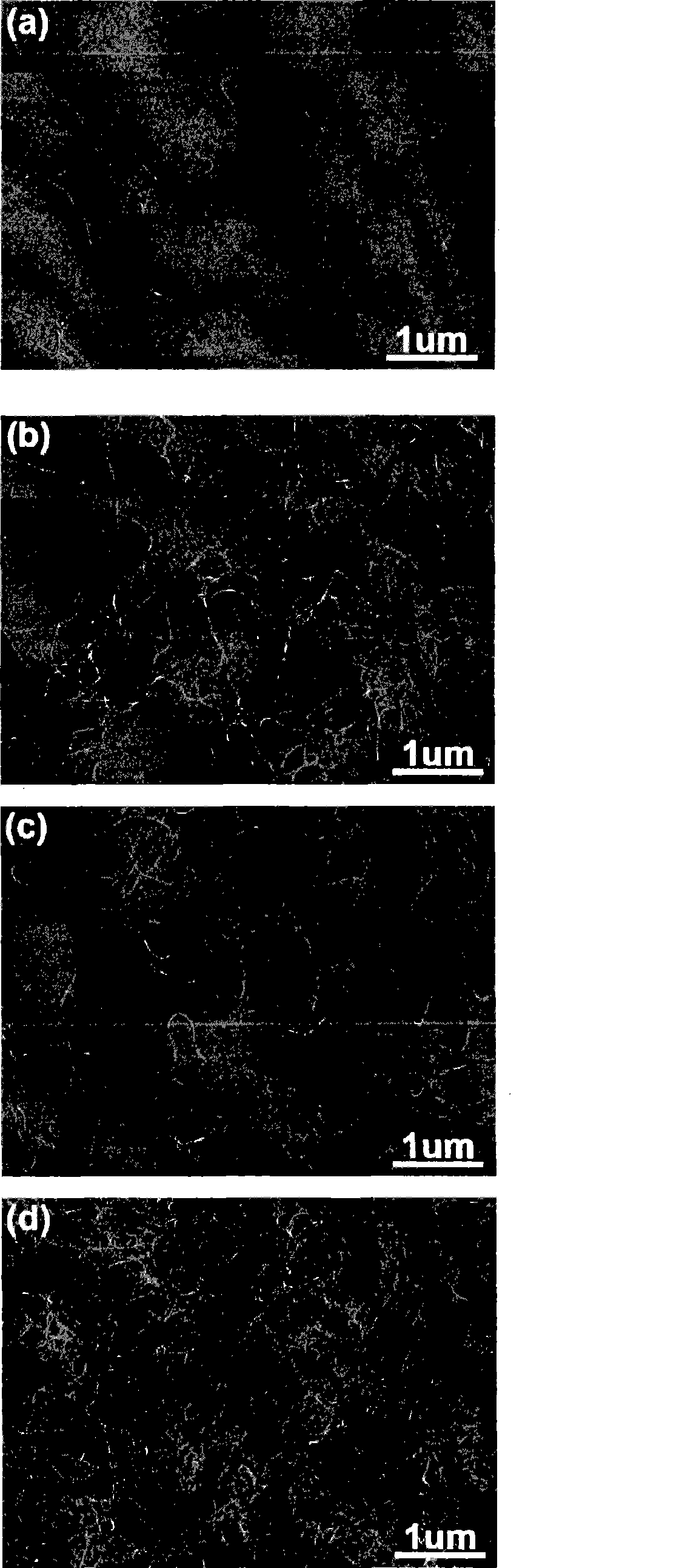 Method for producing carbon nano-tube film, carbon nano-tube film with laminated structure, anode, organic LED and carbon nano-tube element