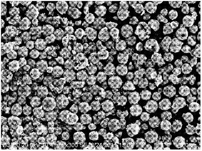 Anode material with lithium ferrous phosphate being embedded in stereoscopic reticular electric conductor and preparation method thereof