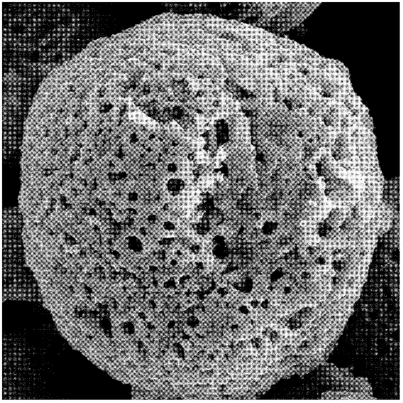 Anode material with lithium ferrous phosphate being embedded in stereoscopic reticular electric conductor and preparation method thereof