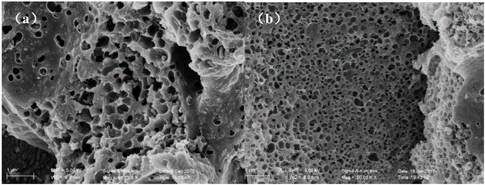 Lithium-sulfur battery composite anode material and preparation method and application thereof