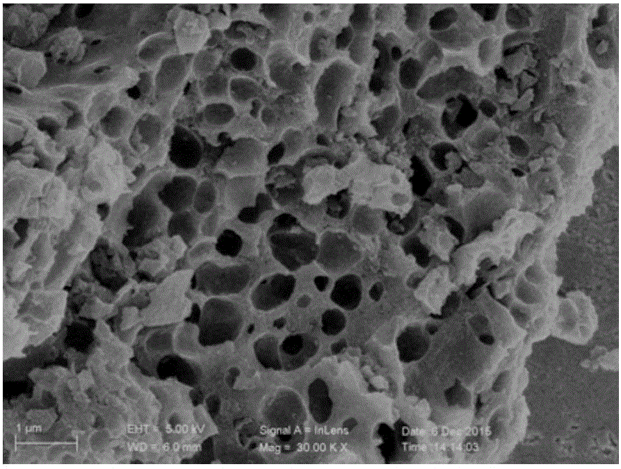 Lithium-sulfur battery composite anode material and preparation method and application thereof