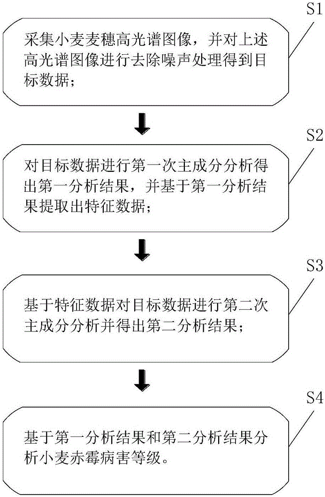 Fusarium graminearum diagnosis method based on hyperspectral imaging