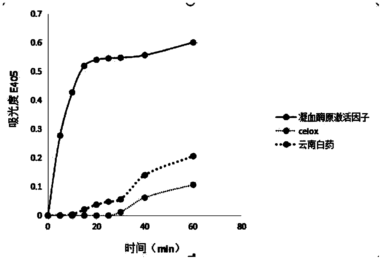 Prothrombin activator and rapid hemostatic material containing prothrombin activator