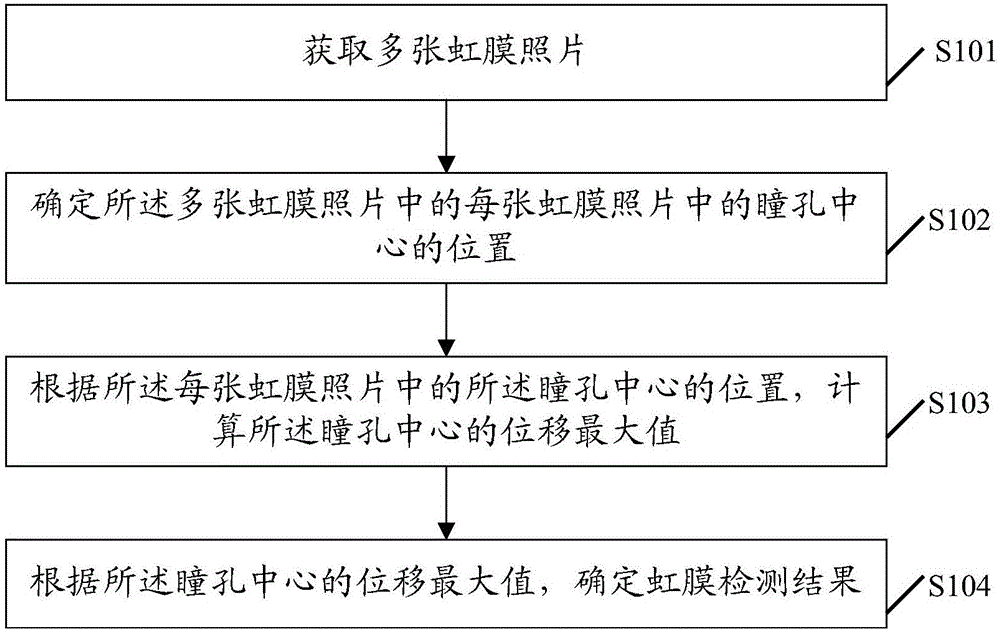 Iris detection method of living body, and terminal