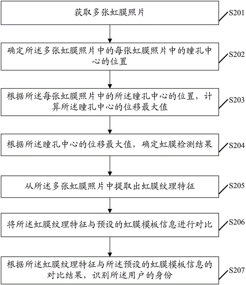 Iris detection method of living body, and terminal