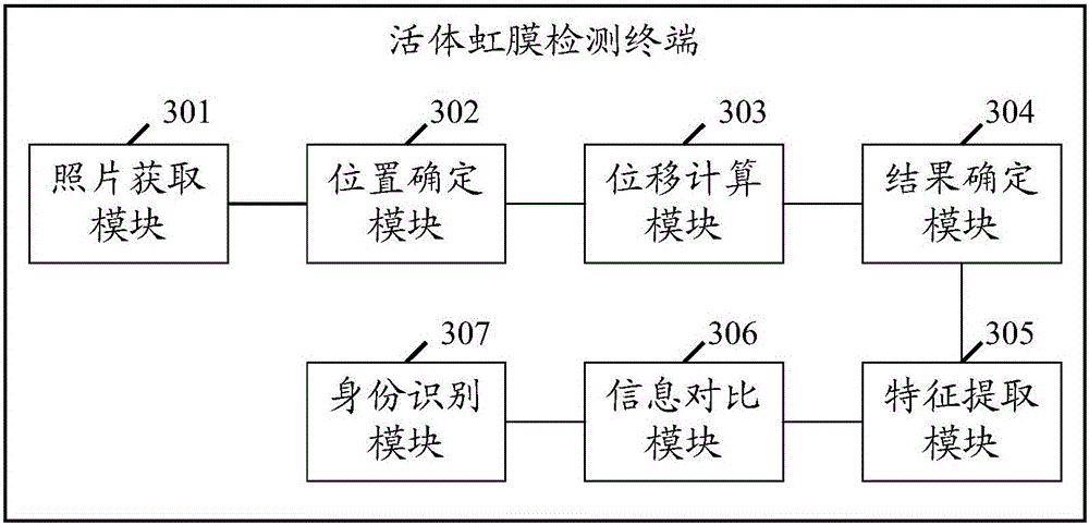 Iris detection method of living body, and terminal