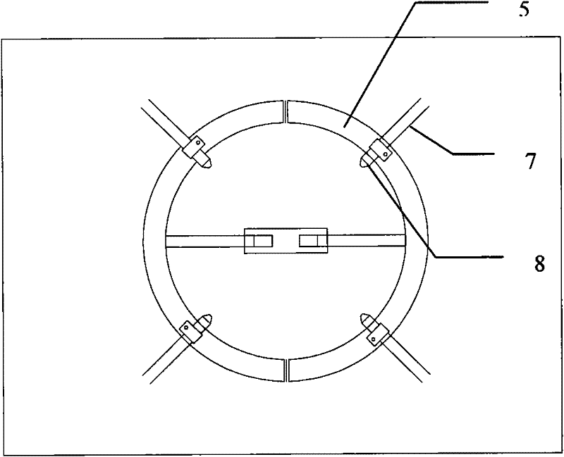 Grafted seedling straightening device