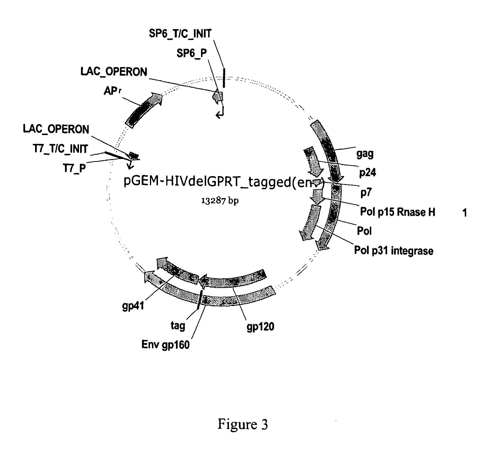 Methods, plasmid vectors and primers for assessing HIV viral fitness