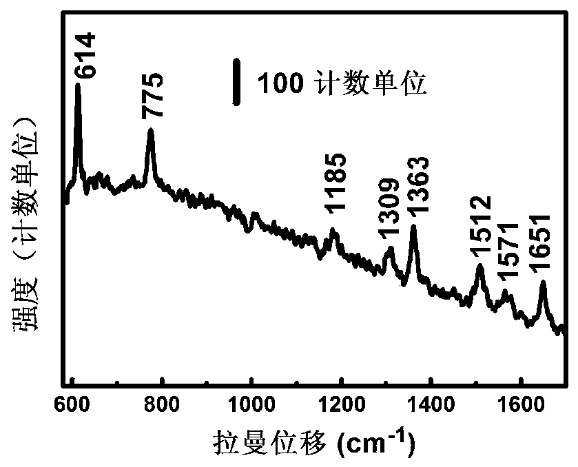 Gold nano structure with cone-shaped surface and preparation method and application thereof