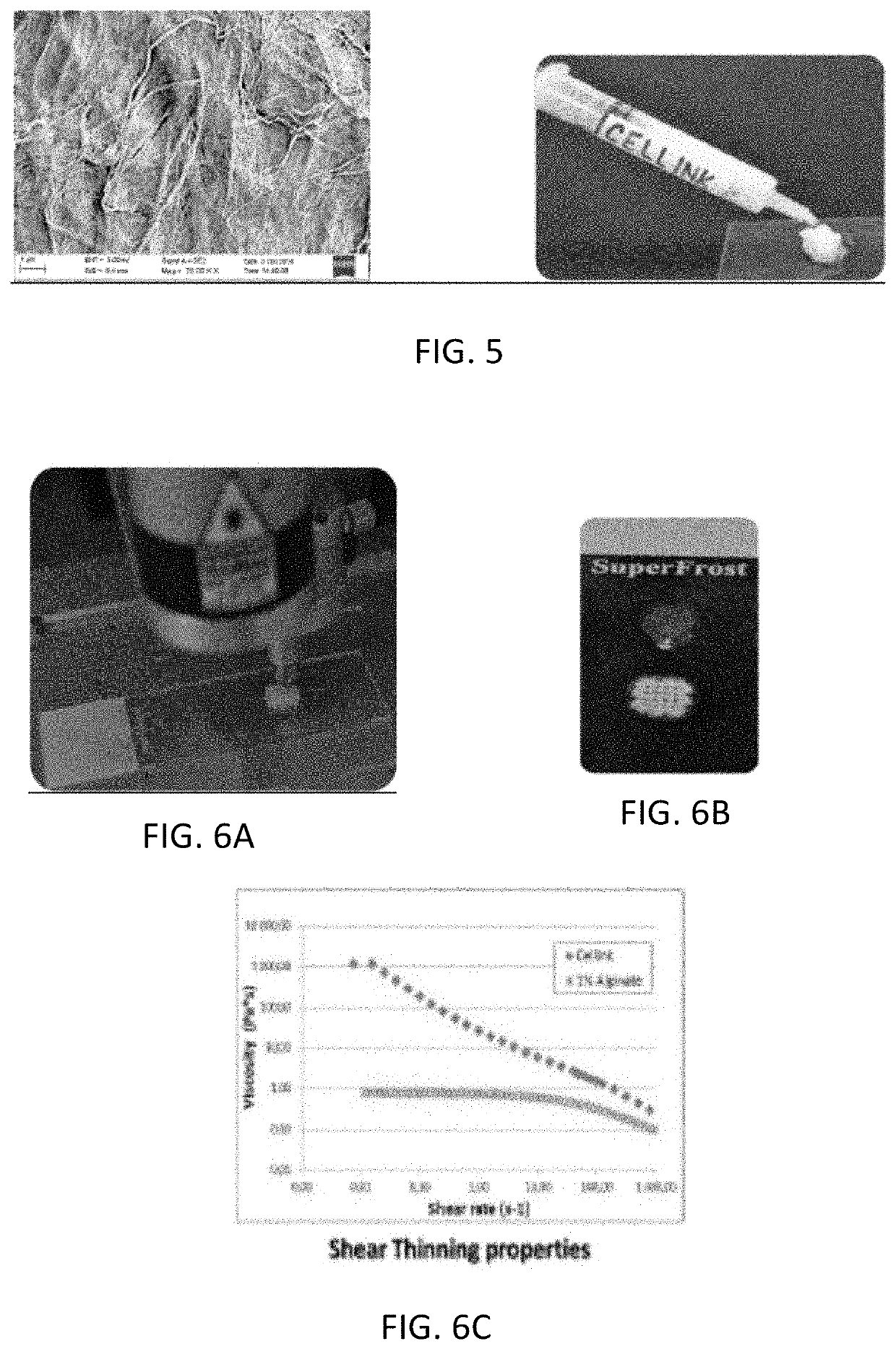 Cellulose nanofibrillar bioink for 3D bioprinting for cell culturing, tissue engineering and regenerative medicine applications