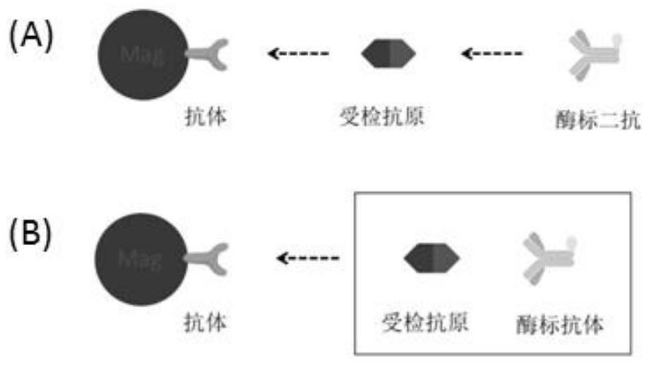 Raw material preparation method and detection method of vascular endothelial growth factor detection kit