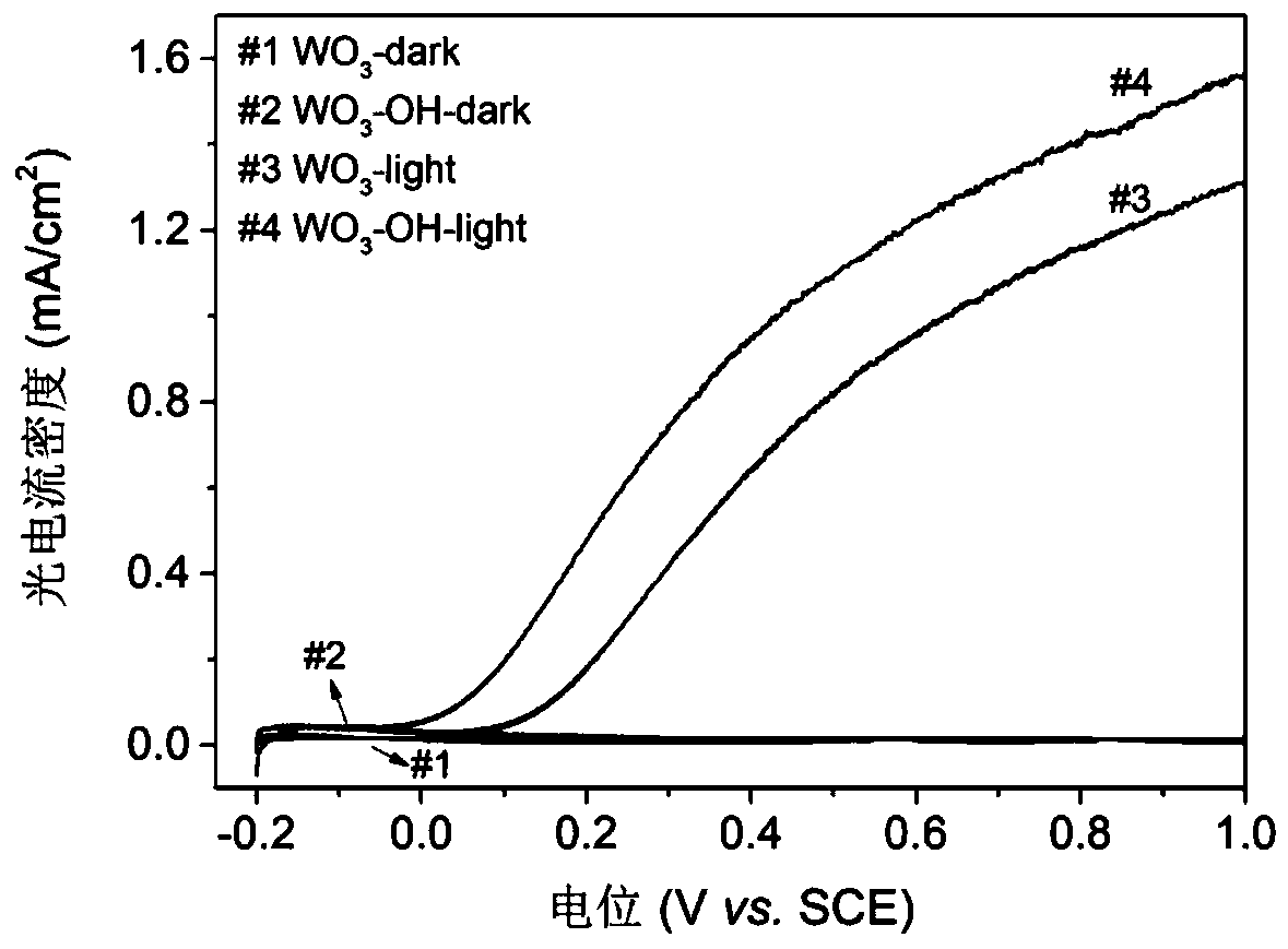 Method for preparing surface hydroxylated WO3 film photoelectrode material through plasma treatment