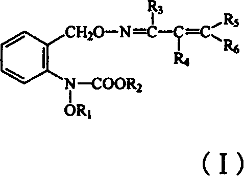 Carbamate sterilization compound containing vinyl oxime ether