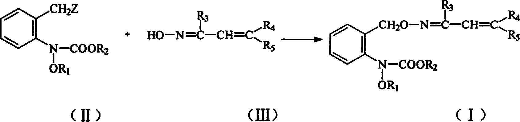 Carbamate sterilization compound containing vinyl oxime ether