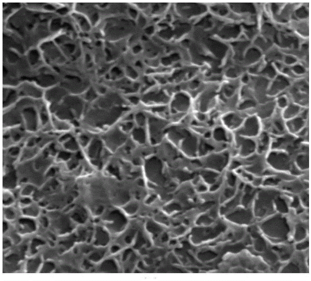 Preparation method for bacterial cellulose graphene paper loaded nickel hydroxide flexible electrode material and application thereof