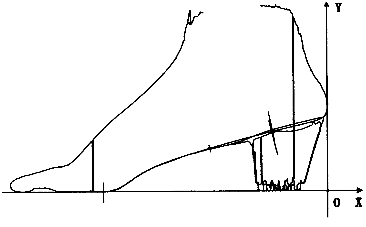 Method of design bottom arcs of shoe last