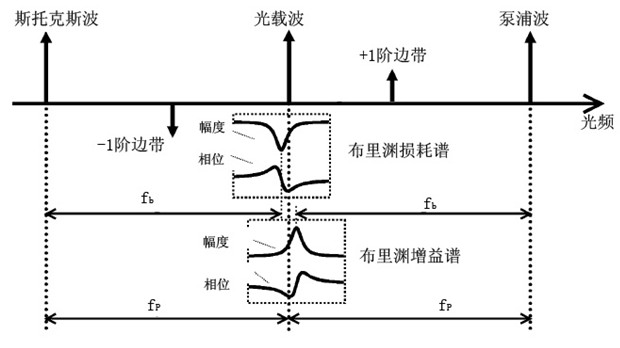 Frequency response balancer by using light carrier Brillouin treatment