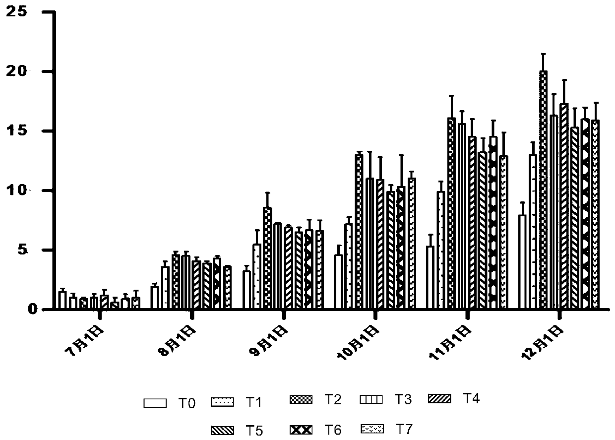 Fertilization method of macadamia integrifolia biological bacterial fertilizer