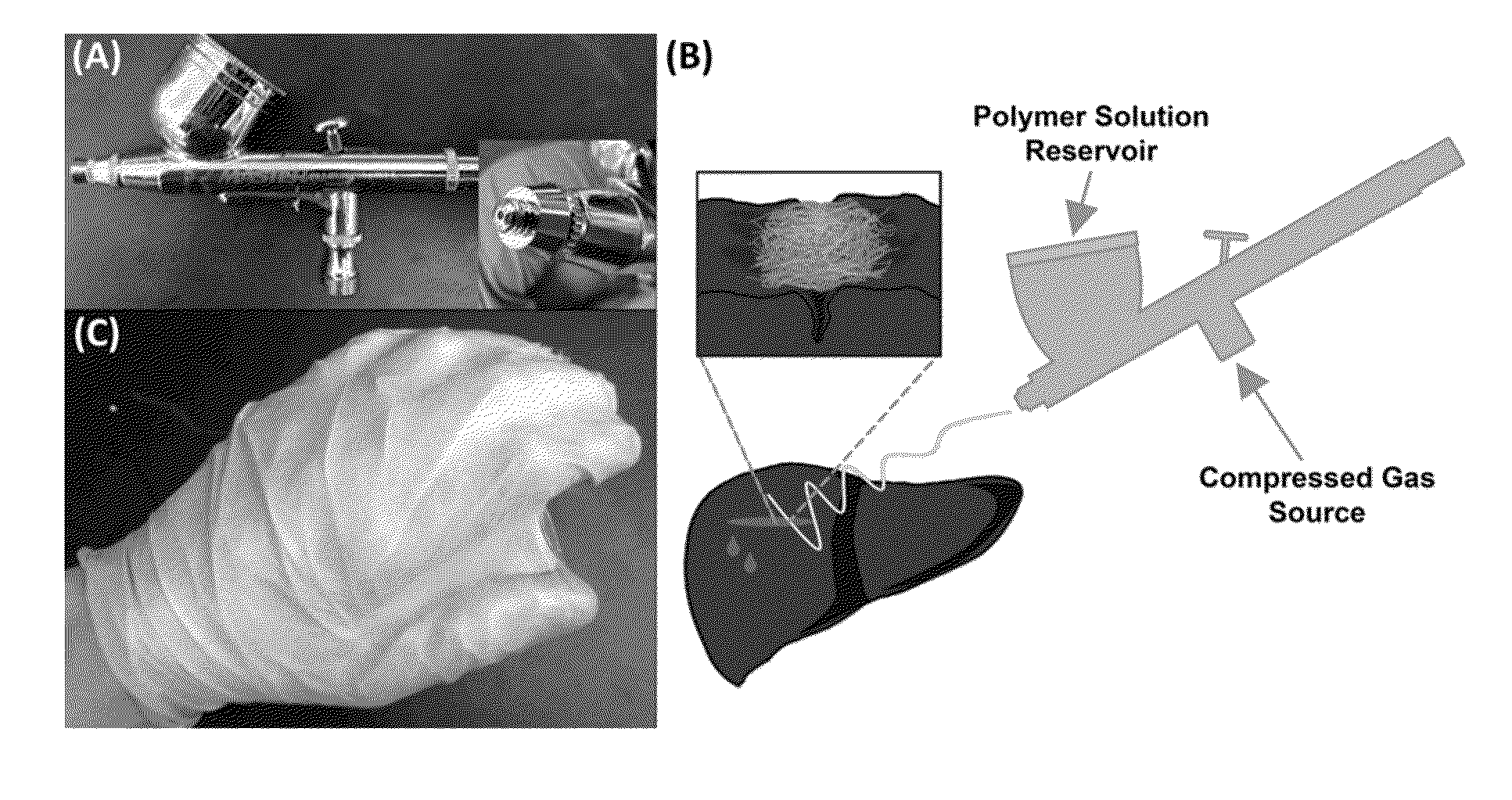 Solution Blow Spun Polymer Fibers, Polymer Blends Therefor and Methods of Use Thereof