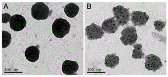 A drug-loaded liposome co-modified with folic acid and tat peptide and its preparation method