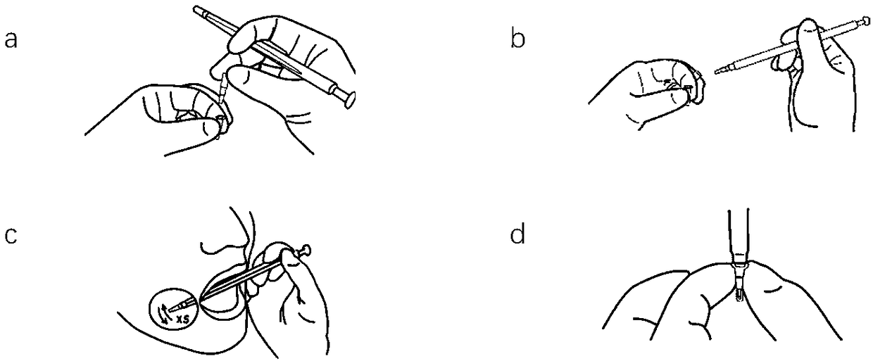 ADRB1 genotype rapid detection kit based on POCT mode