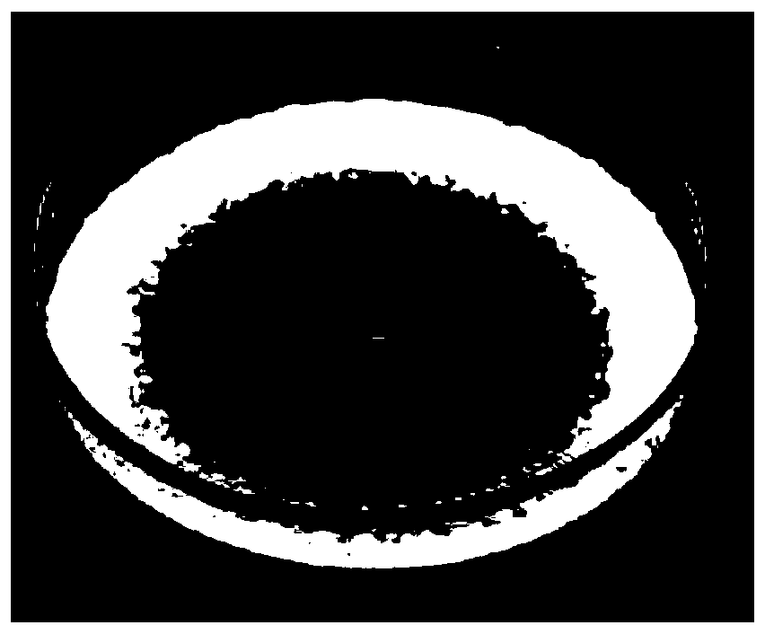 Application of plant essential oil in inhibiting mycete in air