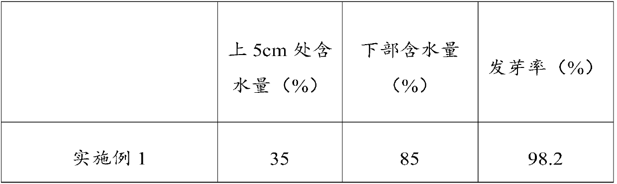 Container seedling raising method of ammopiptanthus and planting method