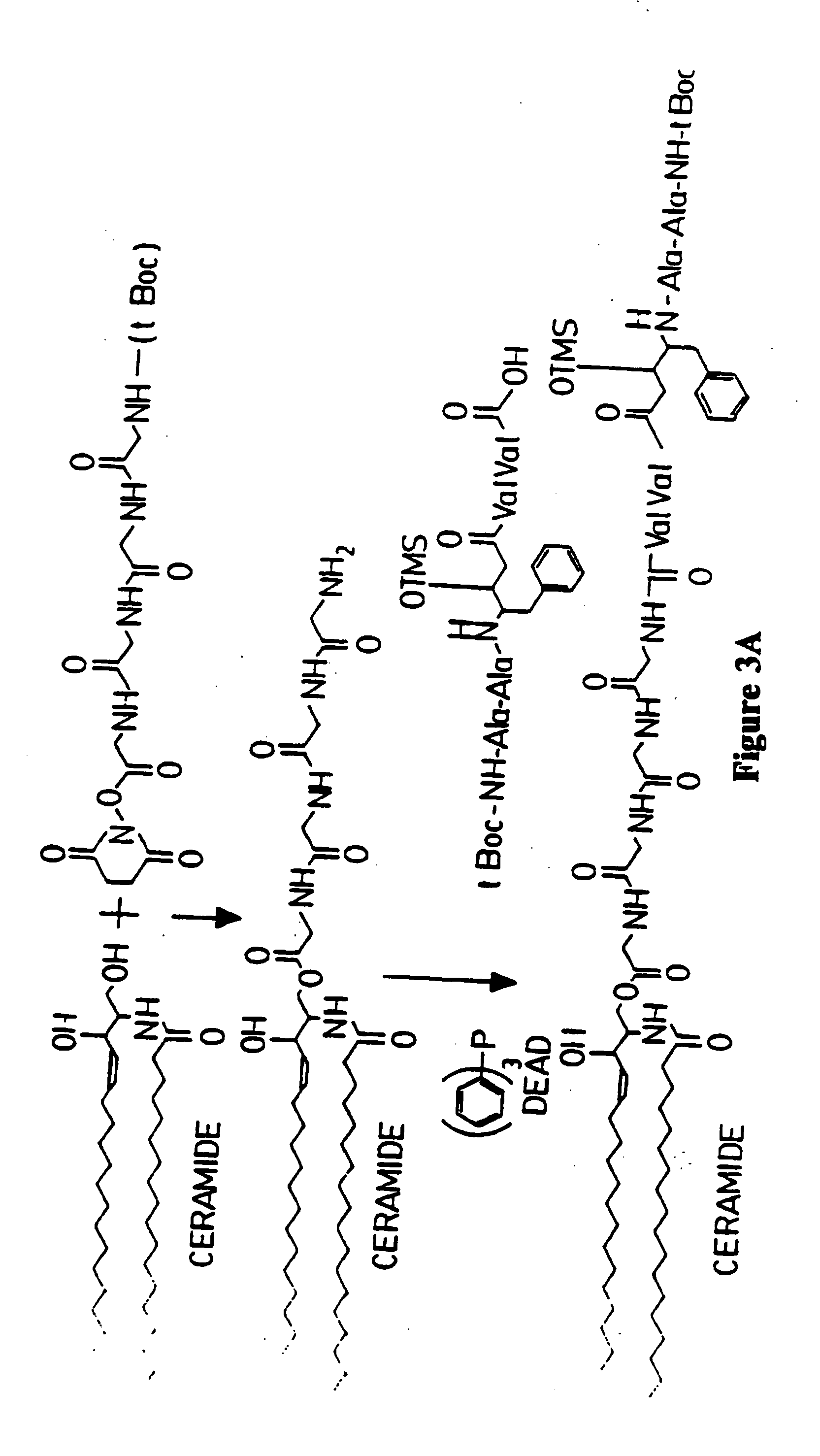 Microparticle-drug conjugates for biological targeting