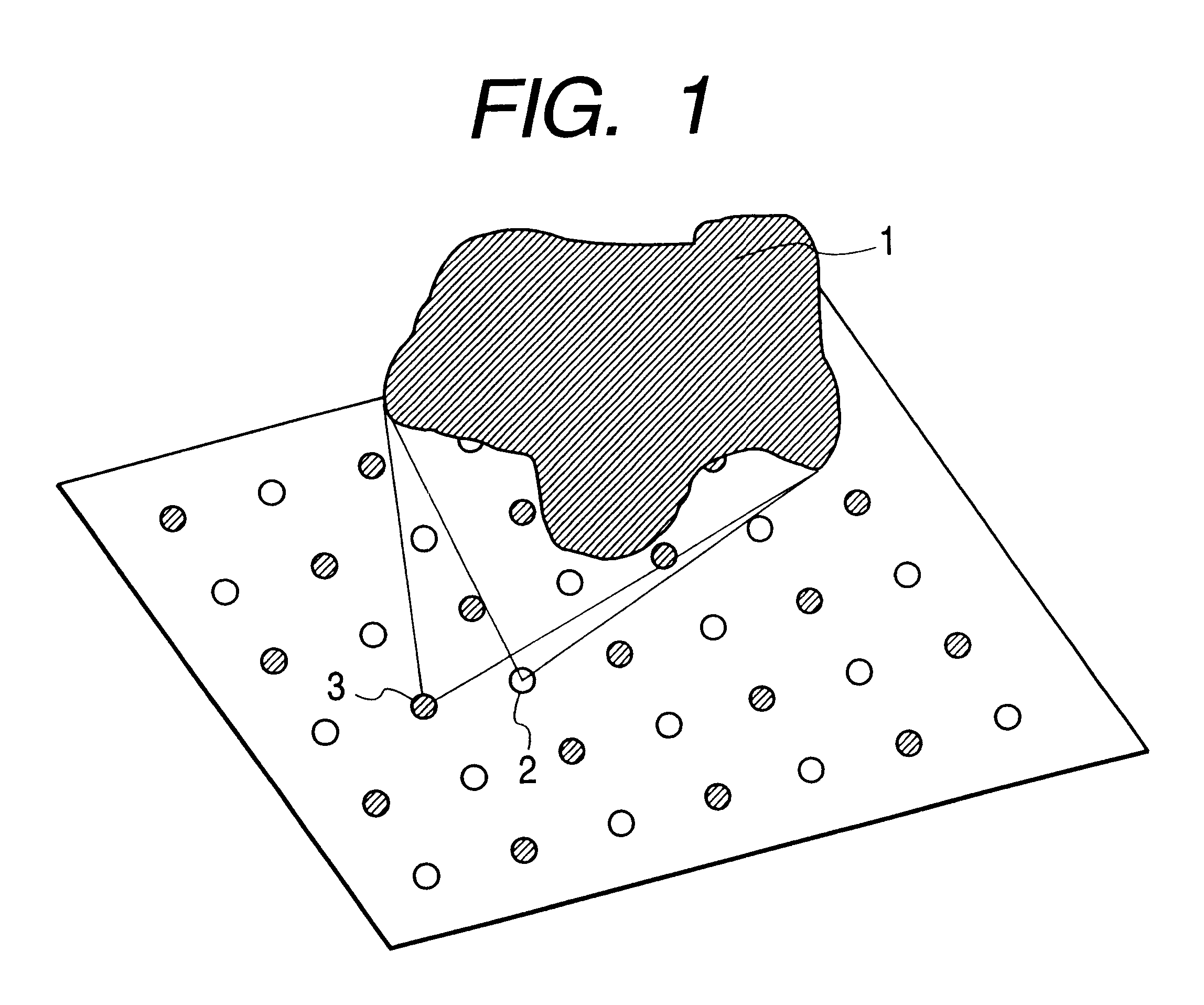 Three-dimensional object identifying system