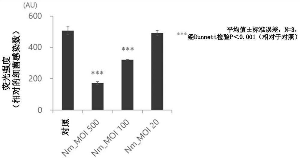 Prophylactic or ameliorating agent for periodontal disease