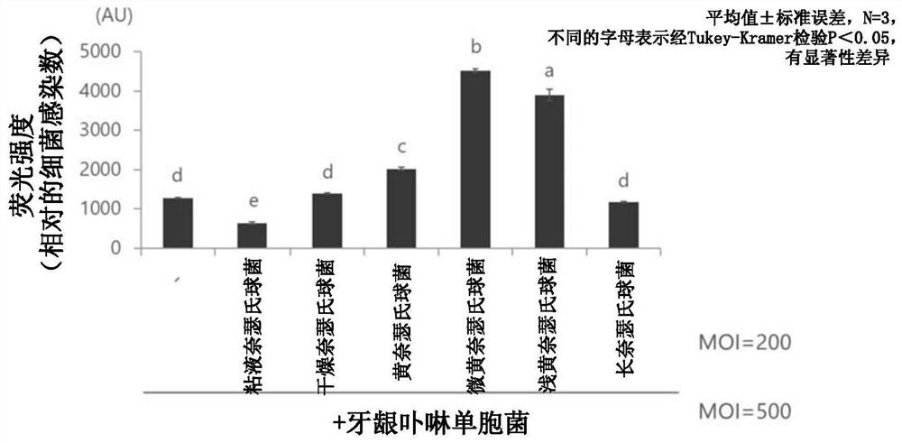 Prophylactic or ameliorating agent for periodontal disease