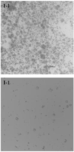 Method for separating single cells from tissue