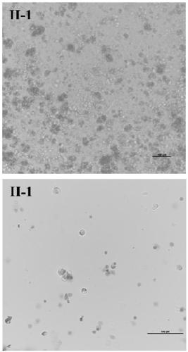 Method for separating single cells from tissue