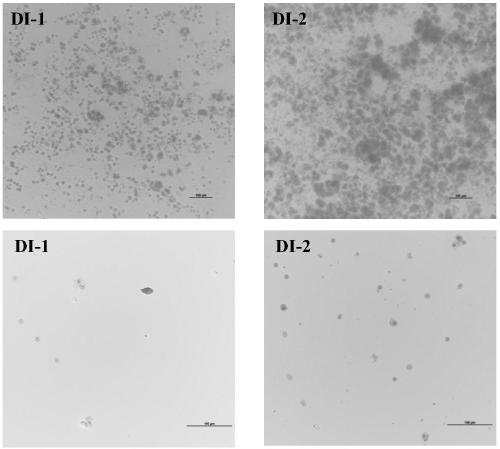 Method for separating single cells from tissue