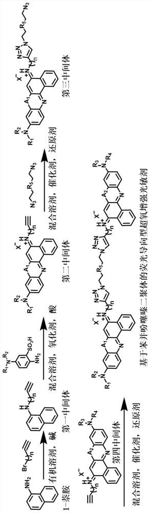 Fluorescence-oriented superoxide enhanced photosensitizer dye based on benzophenothiazine dimer as well as preparation method and application thereof